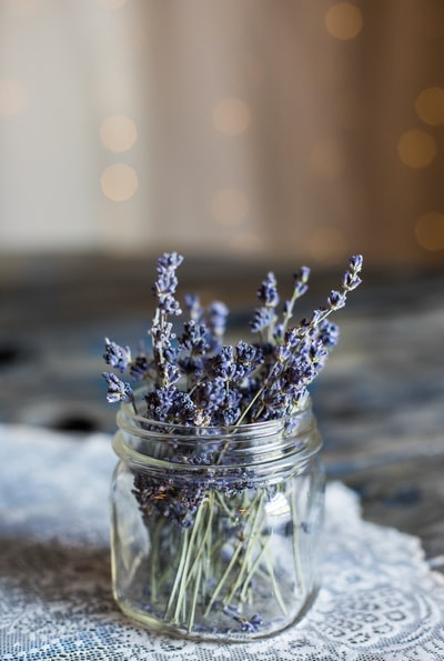透明玻璃瓶中蓝色花瓣的选择性聚焦摄影